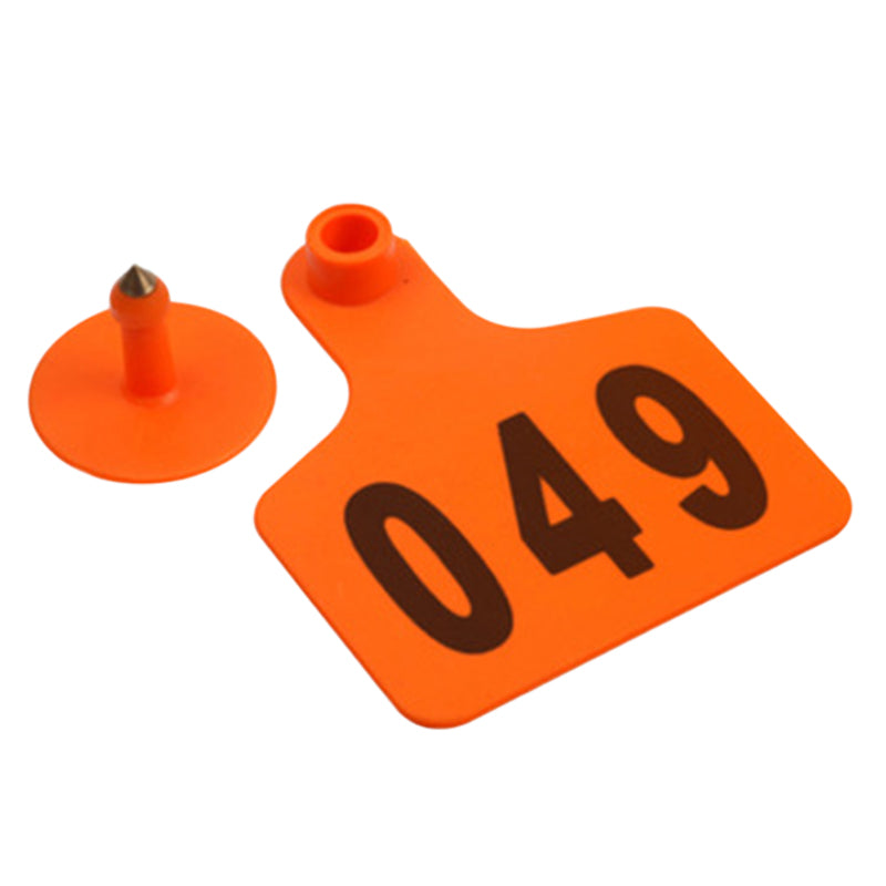 bfe95620f8