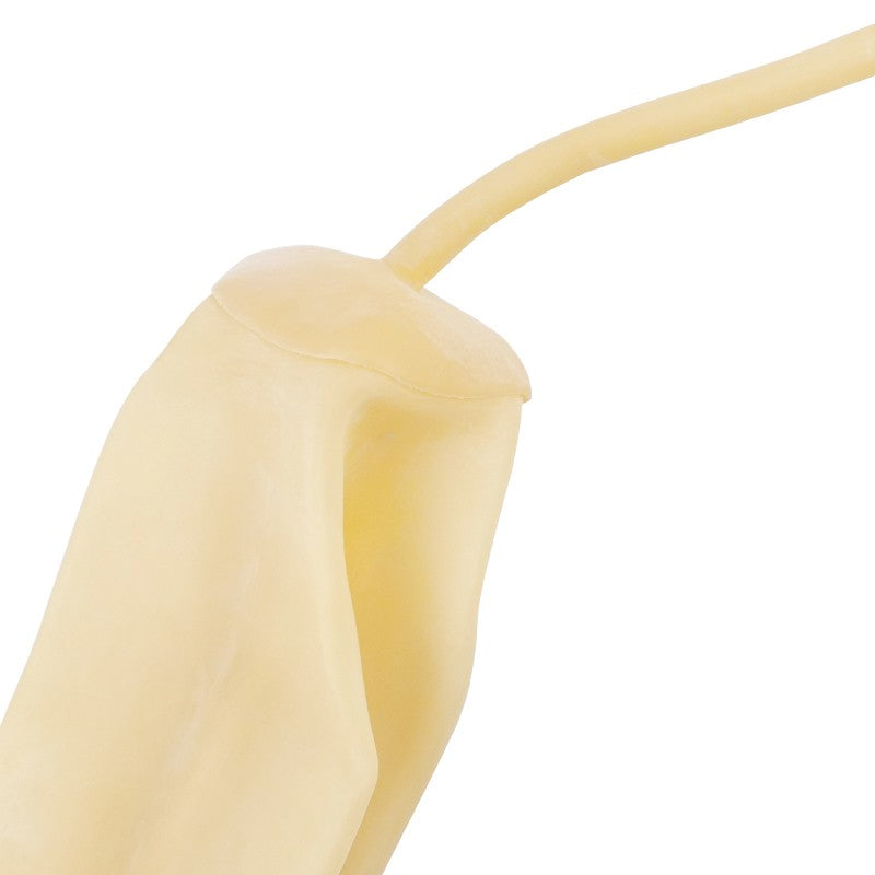 d74cacef0d