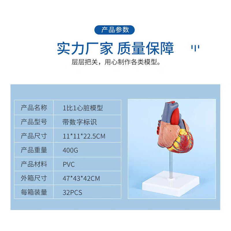 9cd81c18cc