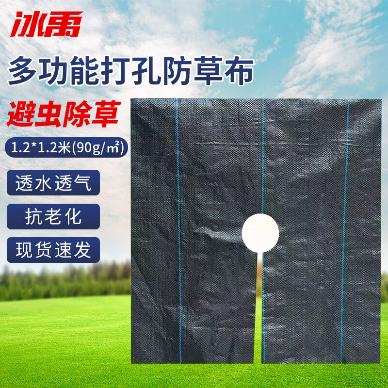 8f43b5856a