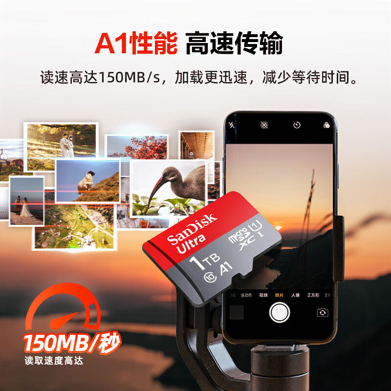 497605eb8e