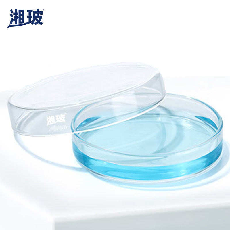 cad512ea37